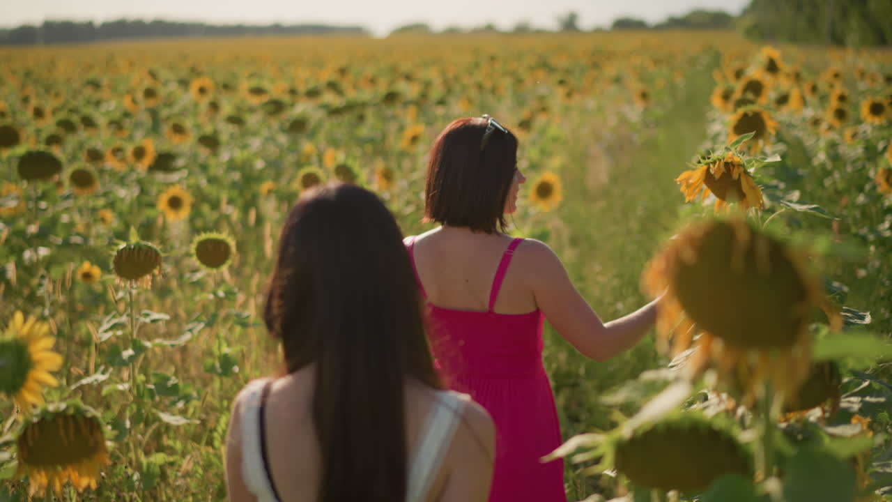 해바라기 길을 걷는 아시아인 친구들의 뒷모습, 솔직한 교감, 분홍색 드레스, 꽃을 향해 손을 뻗는 촉각적인 손길, 따뜻한 역광, 목초지 수평선, 근심 없는 여름 분위기, 자연스러운 질감, 영화 같은 색감