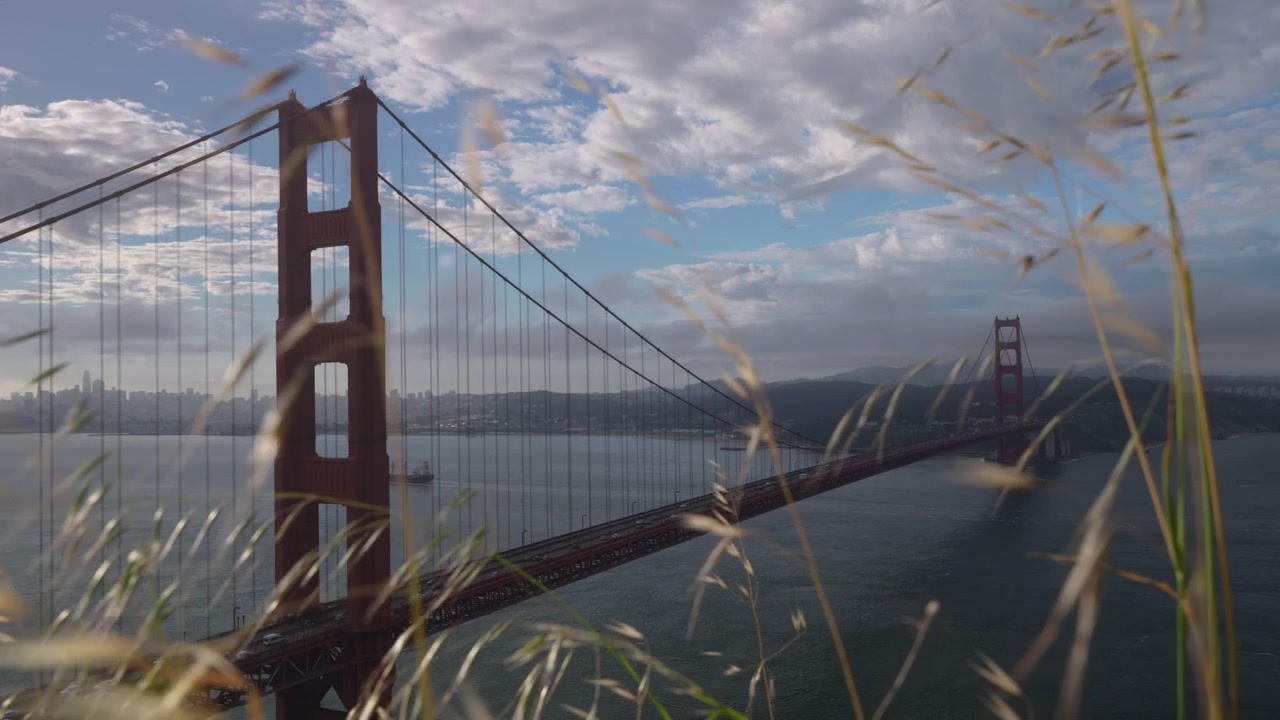 Golden Gate Bridge med gress som blåser i forgrunnen, utenfor San Francisco, California.