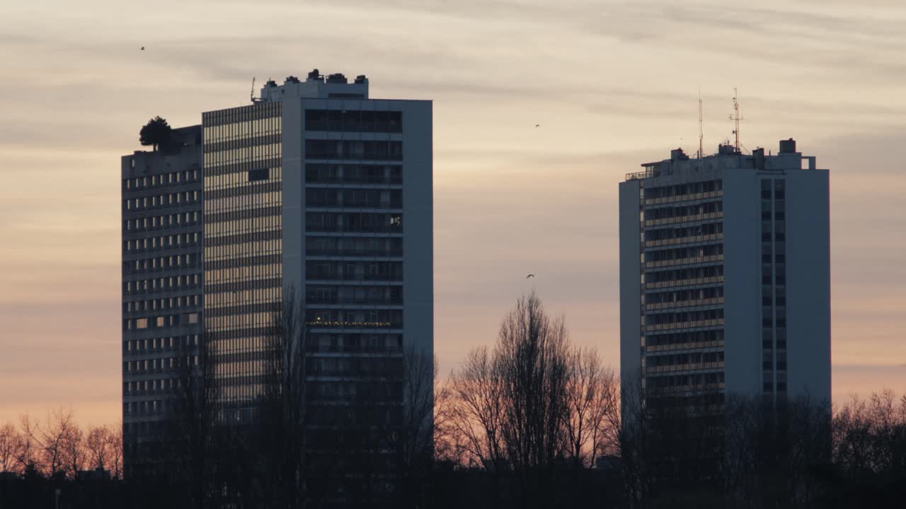 Three high-rise residential towers at sunset with winter trees in the foreground and birds in flight