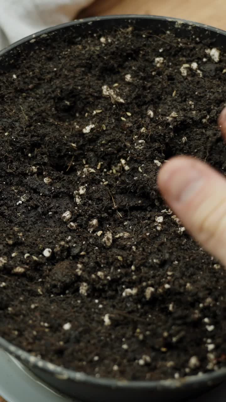 Close-up vertical view of a child's and an adult's hands pressing soil together in an intimate planting gesture, symbolizing care, connection, and the cycle of life through gardening.