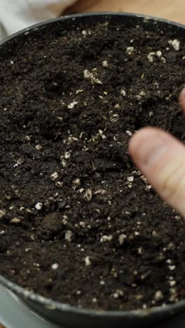 close-up vertical view of a child's and an adult's hands pressing soil together in an intimate planting gesture, symbolizing care, connection, and the cycle of life through gardening.