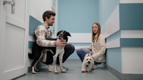 A-confident-brunette-guy-with-a-black-dog-and-a-blonde-girl-with-a-small-white-dog-are-waiting-for-their-turn-in-the-corridor-of-a-veterinary-clinic