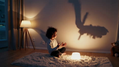 child playing with shadow puppets at night