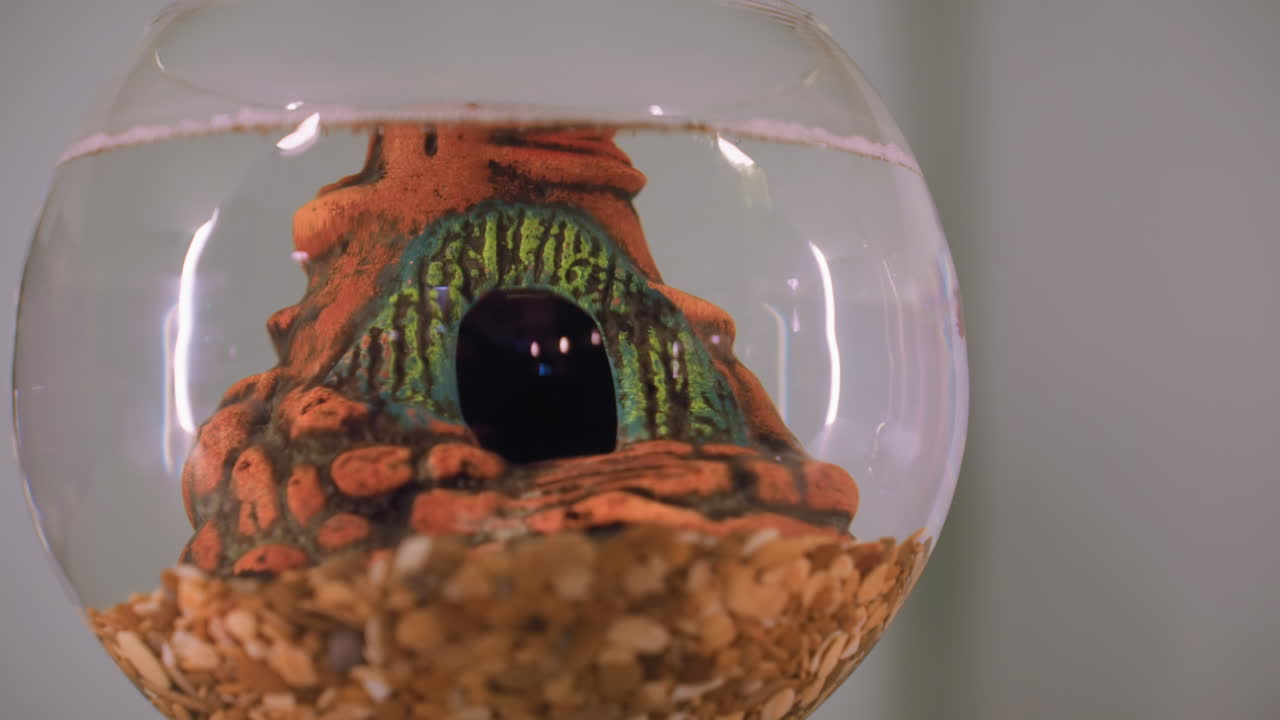 Glass bowl filled with water showcasing closeup view of detailed ornament shaped like eye with surrounding textures and gravel at bottom, under soft indoor lighting on neutral background