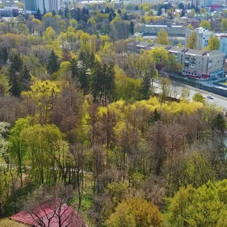 large public park