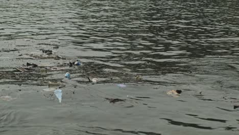 static shot of plastic garbage polluting the sea water