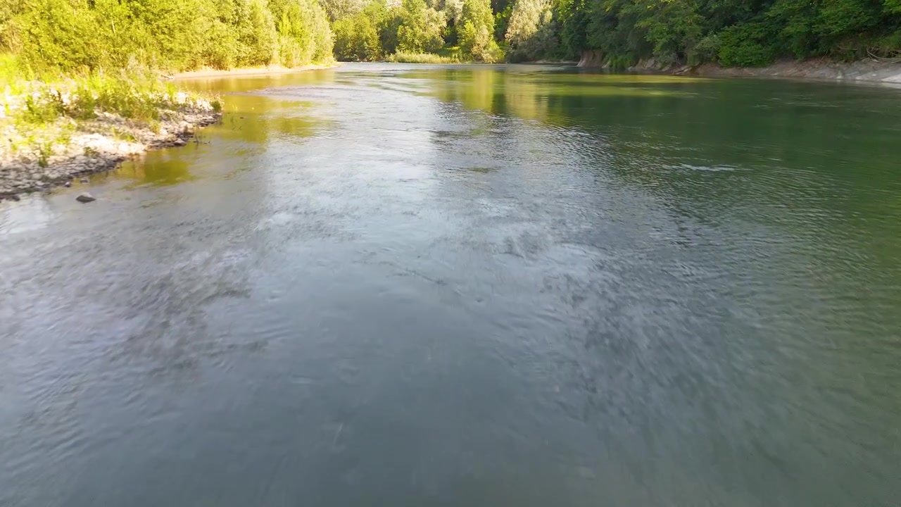 Ampia inquadratura statica di un fiume limpido che scorre tra rive rocciose e fitte foreste verdi