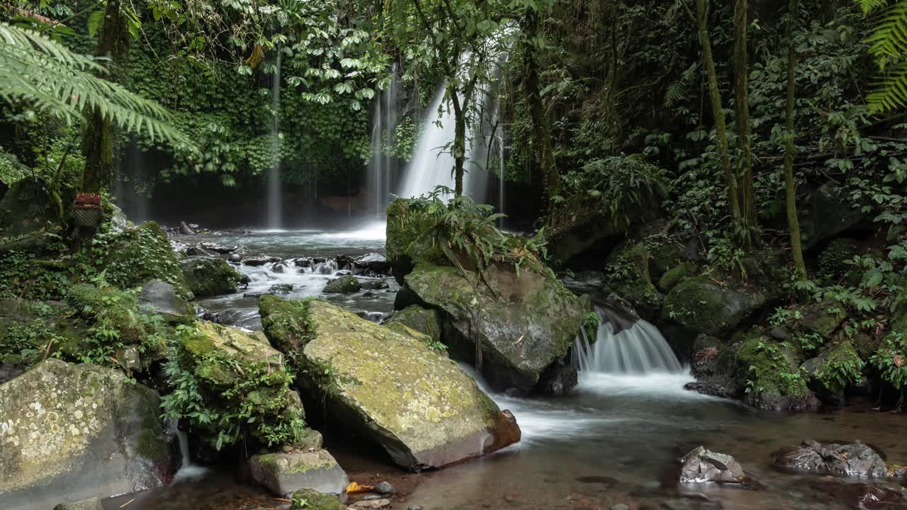 Tropical Waterfall in Lush Rainforest
