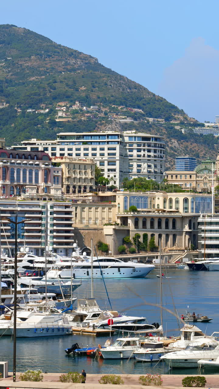 View of boats docked in the Monaco Marina with the skyline of the city on the background. Vertical