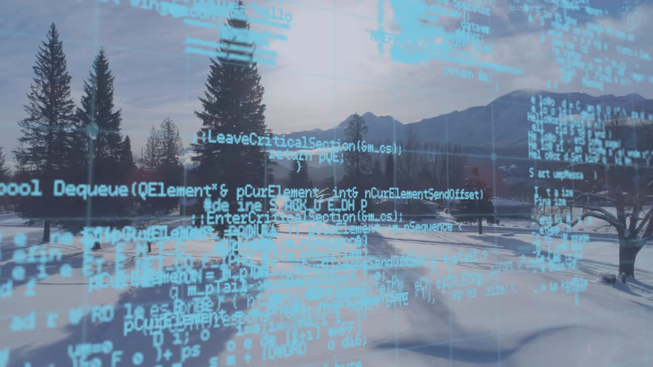 códigos digitais e campo coberto de neve com pinheiros