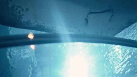 close up of manta ray fish swimming underwater at chester zoo, uk