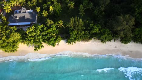 landscapes in seychelles filmed with a drone from above showing the ocean, rocks, palm trees