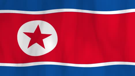 waving north korean flag in motion