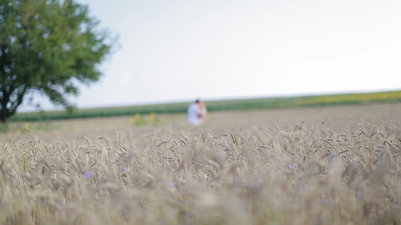 Happy Couple Outdoor, Summertime. Romantic happy couple walking on a wheat field