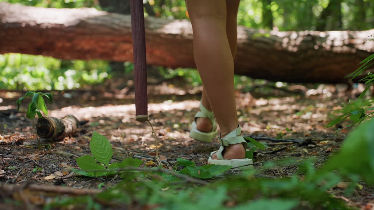 Close up of fairy walking barefoot through forest holding wooden staff, moving toward fallen tree under warm sunlight, surrounded by lush green leaves and forest shadows