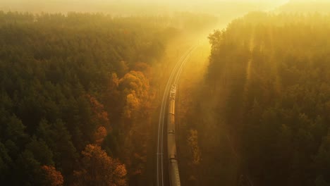 the train goes through the autumn foggy forest towards dawn. 4k drone view
