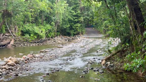 a 4x4 vehicle navigates a rocky creek in a lush rainforest, showcasing off-road capabilities