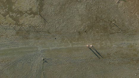 two people walking on the mud flat