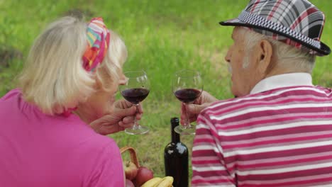 picnic familiar de fin de semana en el parque. una pareja activa de ancianos caucásicos se sientan en una manta y beben vino