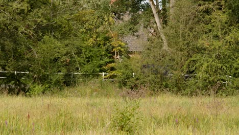 Auto-Fährt-An-Der-Wiese-Des-Flusses-Wensum-In-Lyng-Vorbei