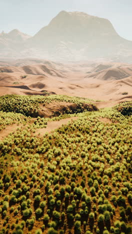 arid mountain landscape