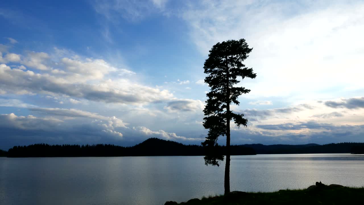 Water landscape, a pine tree and moving clouds
