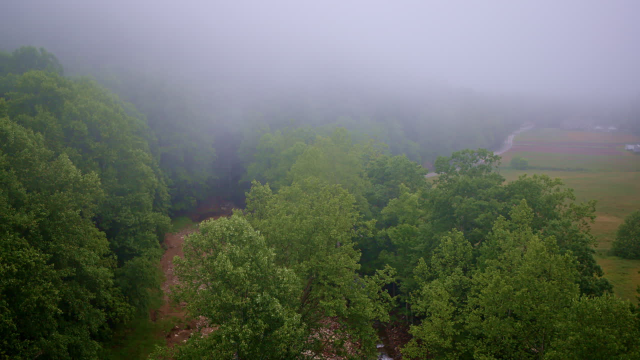 High above, the Smoky Mountains fade into mist like a watercolor in motion