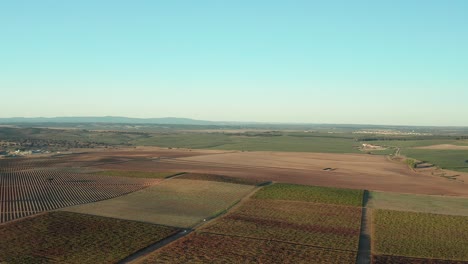 Vista-Aérea-De-Acres-Verdes-Y-Morados-De-Plantación-De-Viñedos