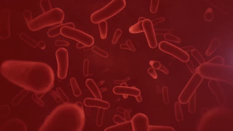 Animation-of-moving-cells-over-red-background