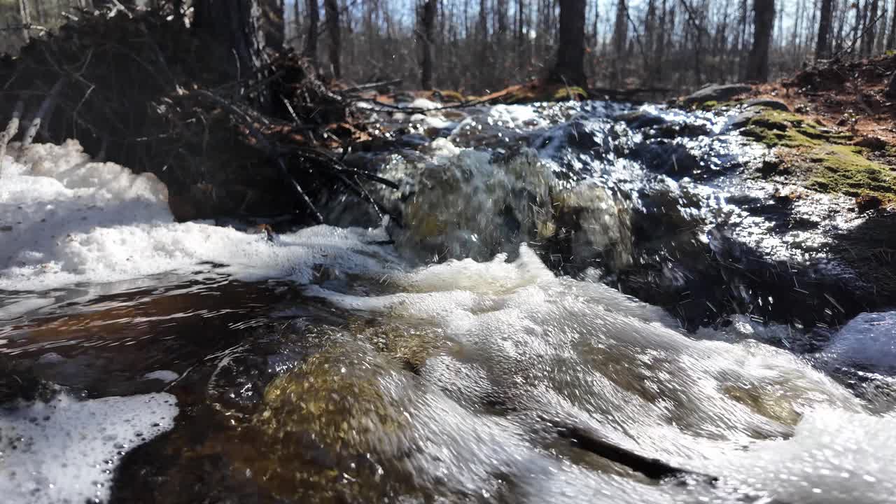 Clear water streams rapidly through a forest, glistening under the sunlight with surrounding trees casting shadows