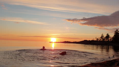 man and dog going for swim at golden sunset, happy vacation scene