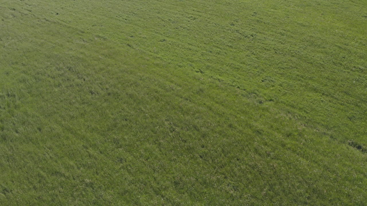 vista aérea de un prado verde