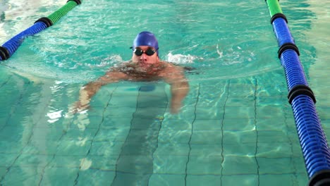 fit man doing the breast stroke and smiling at camera in swimming pool