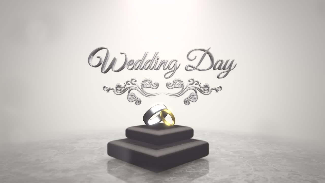 Wedding Day with silver and gold rings