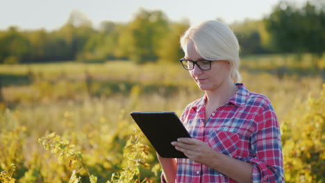 woman with tablet  in vineyard