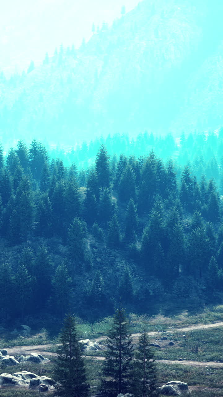 una escena de bosque sereno con niebla y colinas onduladas