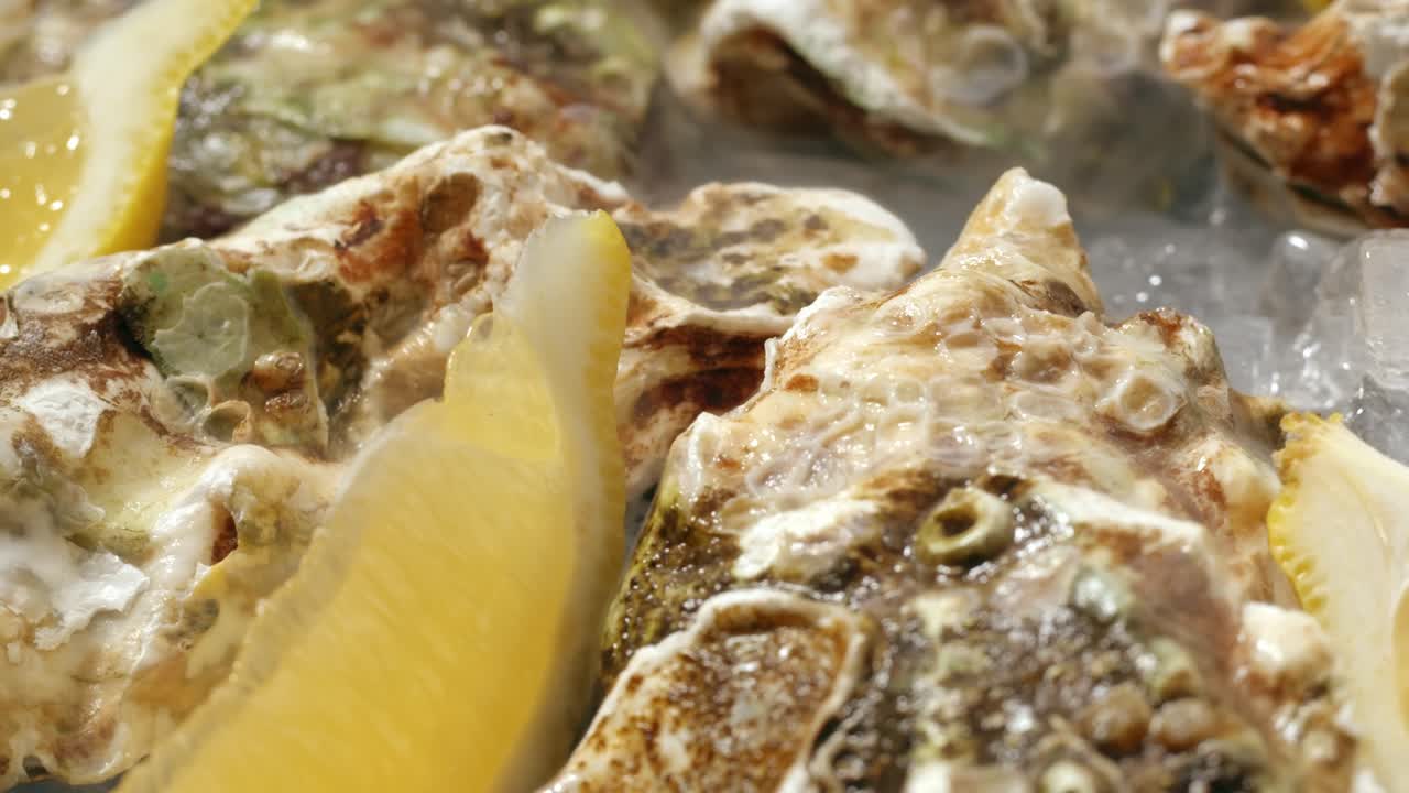 Fresh Oysters with Lemon