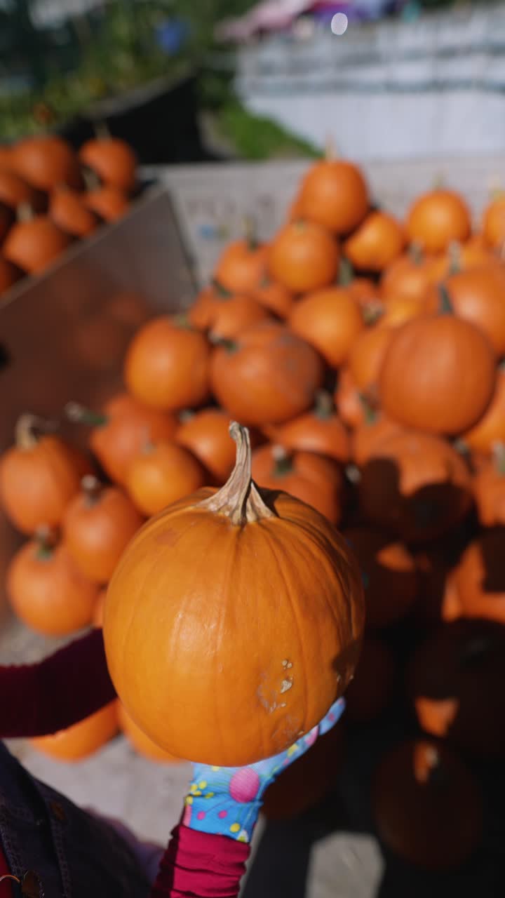 가을 수확 배경을 가진 호박을 들고 있는 사람