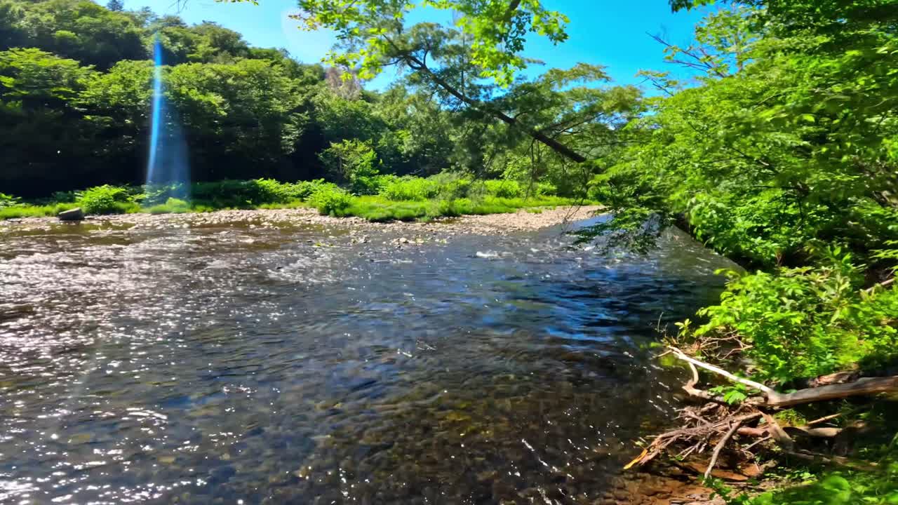여름 동안 뉴욕주 로스코에 있는 울창하고 무성한 푸른 애팔래치아 산 숲의 아름다운 삼림 송어 낚시 개울