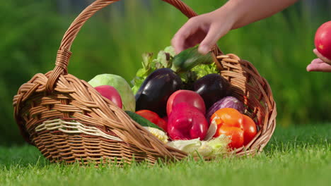 verduras frescas en una canasta de mimbre