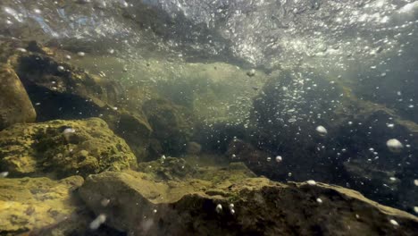 psychedelic underwater shot of a shallow stream in saaremaa, estonia.