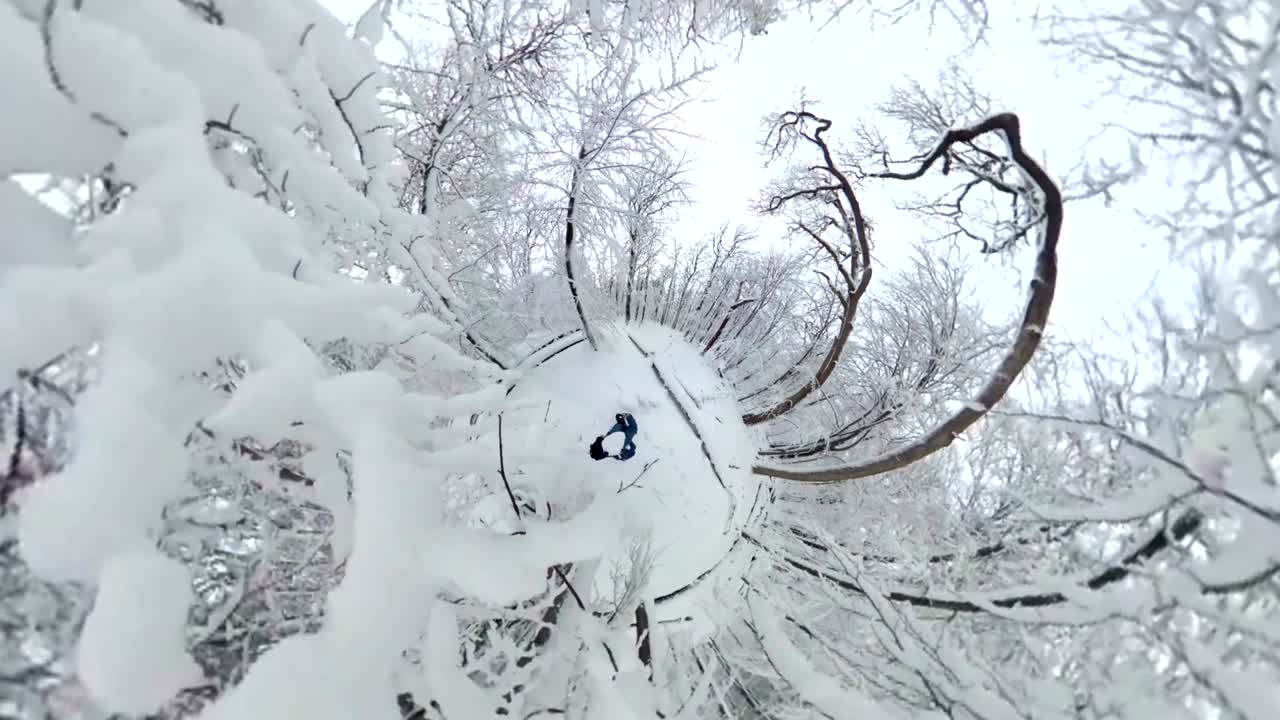아름다운 겨울 숲을 고 있는 남자, 360° 영상, 360° vr, 작은 행성 효과