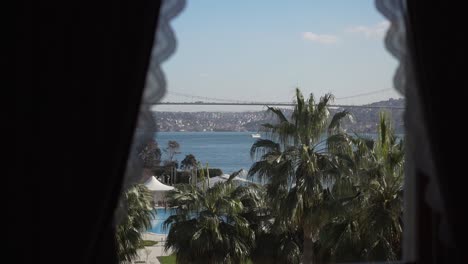 bridge over the bosphorus and ortakoy mosque by the pool through the palm treesbridge over the bosphorus and ortakoy mosque by the pool through the palm trees