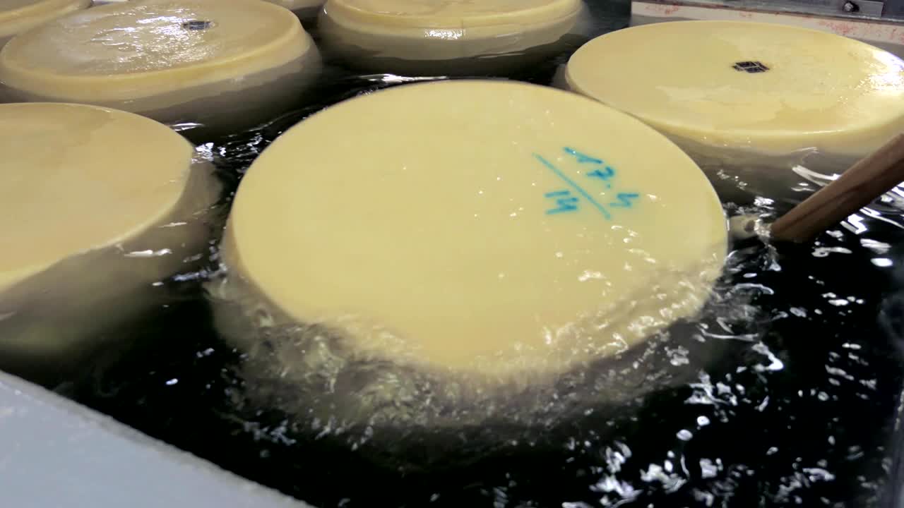 rotating Parmesan cheese ripening in brine, parmigiano reggiano in salt water