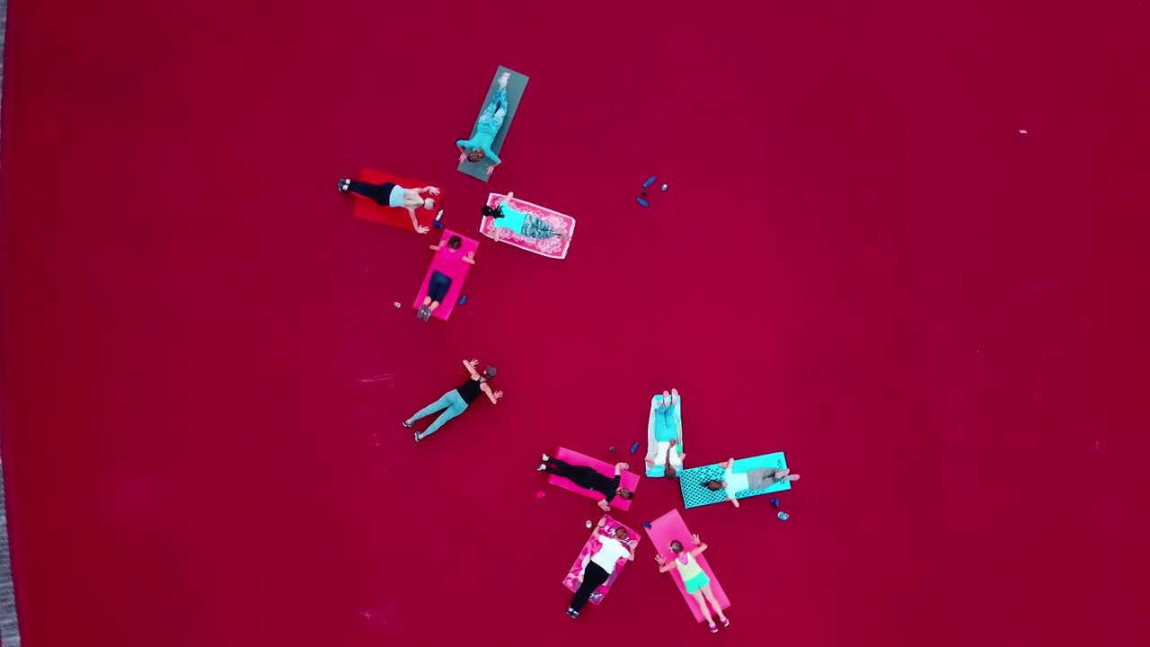 Group of girls working out. Aerial view of group of people doing outdoor workout