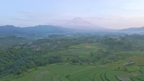 foggy mountain and rice fields bellow in indonesia, aerial view