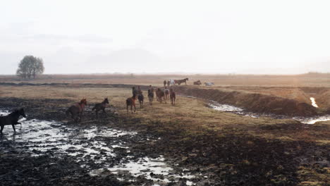 Hermosa-Vista-Al-Amanecer-Con-Caballos-Salvajes-En-Kayseri,-Turquía---Toma-Aérea-De-Drones