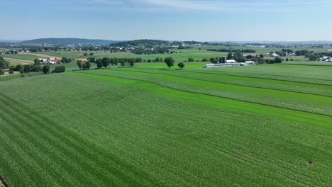 An-aerial-view-of-the-lush-green-farmlands-in-the-rural-countryside-of-Lancaster-County,-Pennsylvania