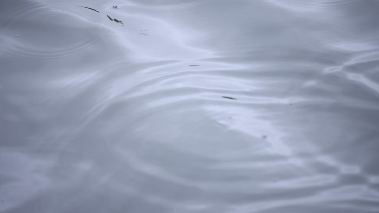 물속의 방울의 느린 움직임 연못의 비가 오는 날 클로즈업