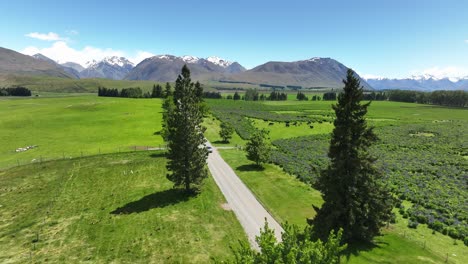 Car-moving-on-gravel-road-in-New-Zealand-countryside-near-Lake-Tekapo